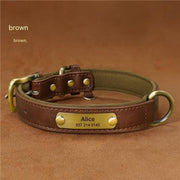 Dog Collar Engraved With Lettering To Prevent Loss Of Neck Collar