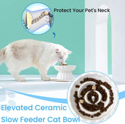 Elevated Ceramic Slow Feed Dish For Cats And Small Dogs, Flower Pool Design Pet Slow Feeder With Higher Edges,Raised Pet Bowl For Dry & Wet Food