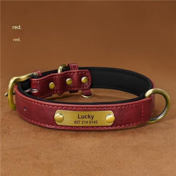 Dog Collar Engraved With Lettering To Prevent Loss Of Neck Collar